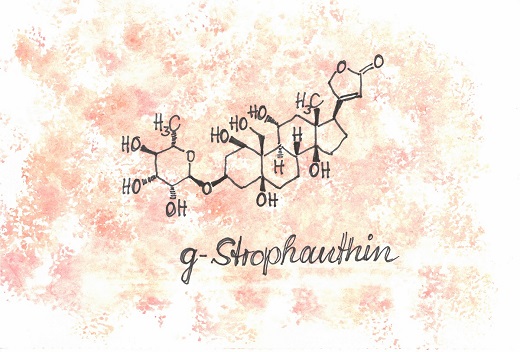 Strophantin-Strukturformel